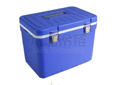 制冷大市場(chǎng) 保鮮設(shè)備產(chǎn)品供應(yīng)與行業(yè)趨勢(shì)解析